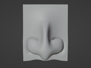 Stylized Nose pack 3D 모델