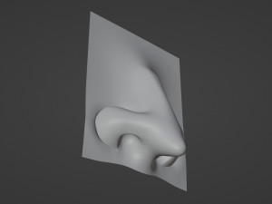 Stylized Nose pack 3D 모델