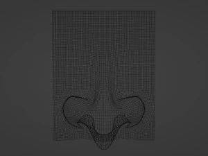 Stylized Nose pack 3D Model