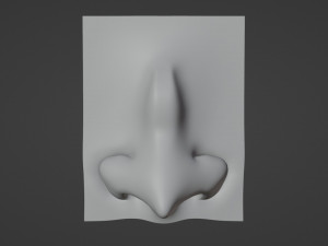 Stylized Nose pack 3D 모델