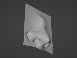 Stylized Nose pack 3D 모델