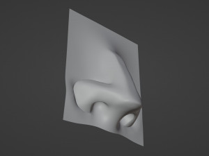 Stylized Nose pack 3D 모델