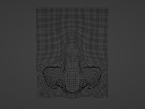 Stylized Nose pack 3D 모델