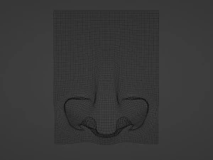 Stylized Nose pack 3D Model