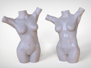 Woman anatomy practice 3D Принт Модель
