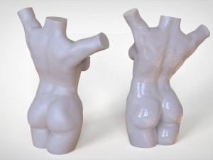 Woman anatomy practice Modelo de impresión 3D