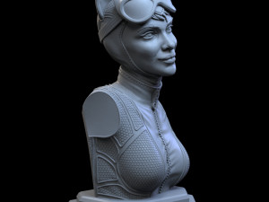 STL CATWOMAN BUST 3D PRINT 3Dプリントモデル