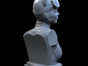 STL CATWOMAN BUST 3D PRINT 3Dプリントモデル
