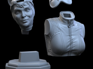 STL CATWOMAN BUST 3D PRINT 3Dプリントモデル