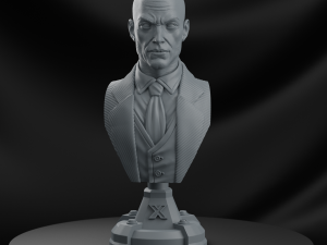 STL XAVIER X- MEN BUST 3D PRINT Modelo de Impressão 3D