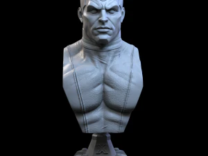 STL COLOSSUS X-MEN BUSTO DE IMPRESS&Atilde;O 3D Modelo de Impressão 3D