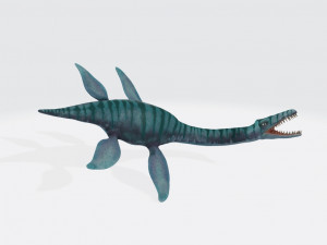 Plesiosaurus Ready to Print 3Dプリントモデル