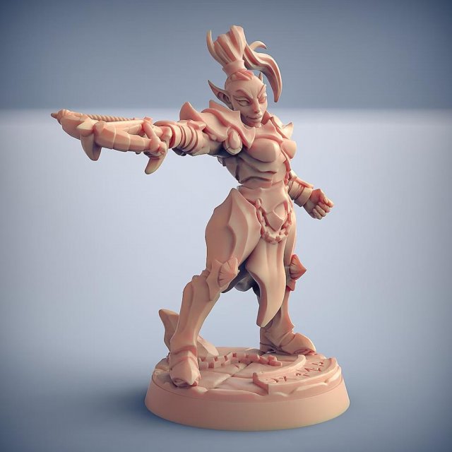 Ashen Inquisitor Female D Miniatures Ready to Print 3D Print Model .c4d .max .obj .3ds .fbx .stl .blend 
