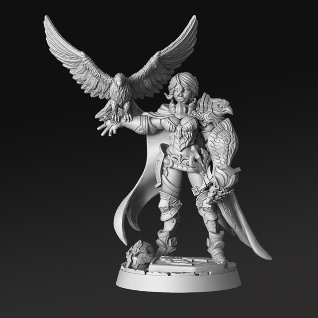 Nadia Female Falconer Miniatures Ready to Print 3D Print Model .c4d .max .obj .3ds .fbx .stl .blend 