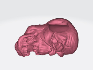 Garaldir Miniatures Ready to Print 3D-printmodel