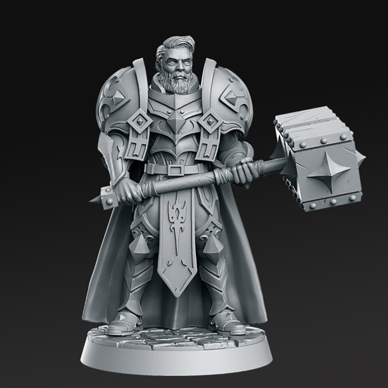Sir Warrick Miniatures Ready to Print 3D Принт Модель .c4d .max .obj .3ds .fbx .stl .blend 