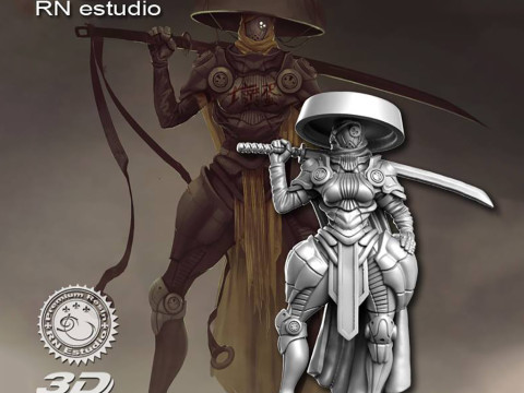 Kazumi Miniatures Ready to Print Modelo de Impressão 3D