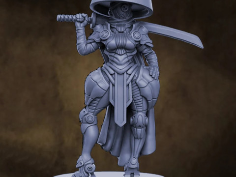 Kazumi Miniatures Ready to Print Modelo de Impressão 3D