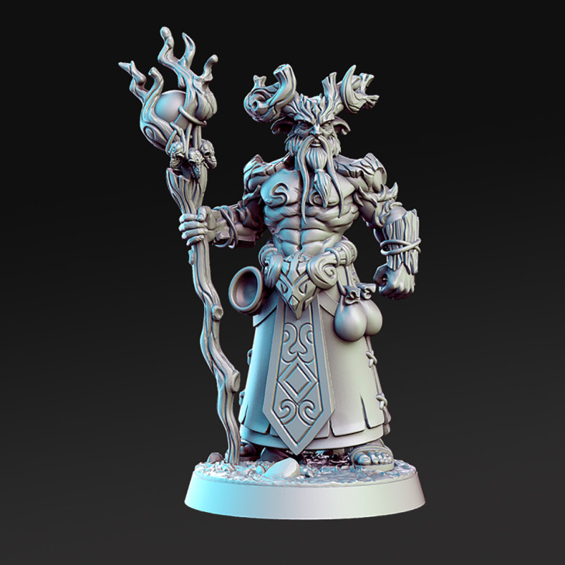 Aerlin Miniatures Ready to Print 3Dプリントモデル .c4d .max .obj .3ds .fbx .stl .blend 
