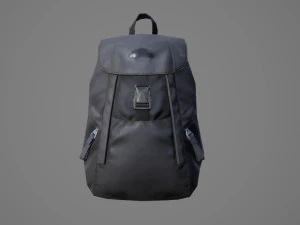 Bag Backpack 001 3D Model