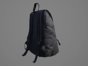 Bag Backpack 001 3D Model