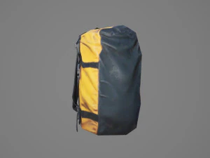 Bag Backpack 005 3D Model