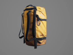 Bag Backpack 005 3D Model