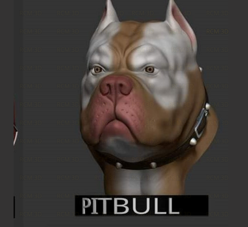 Pitbull bust 3D-printmodel .c4d .max .obj .3ds .fbx .stl .blend 