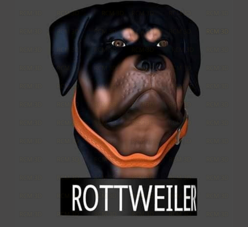 Rottweiler bust 3D 打印模型 .c4d .max .obj .3ds .fbx .stl .blend 
