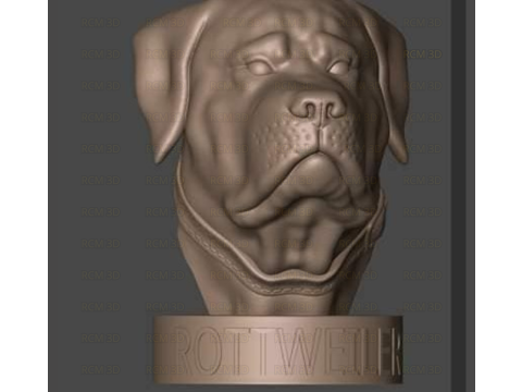 Rottweiler bust 3D 打印模型
