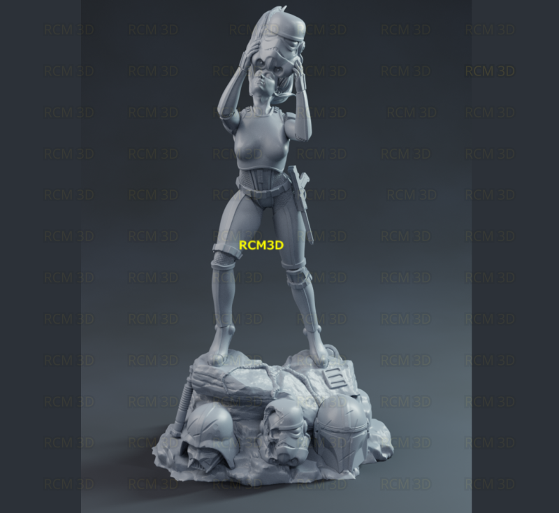 Lady Stormtrooper Modello di stampa 3D .c4d .max .obj .3ds .fbx .stl .blend 