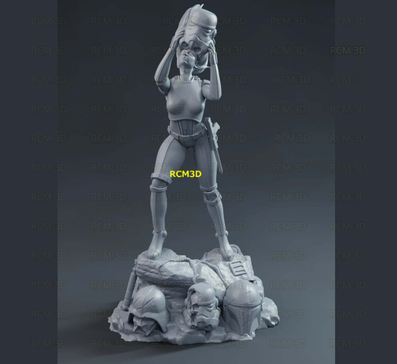 Lady Stormtrooper 3D Print Model .c4d .max .obj .3ds .fbx .stl .blend 