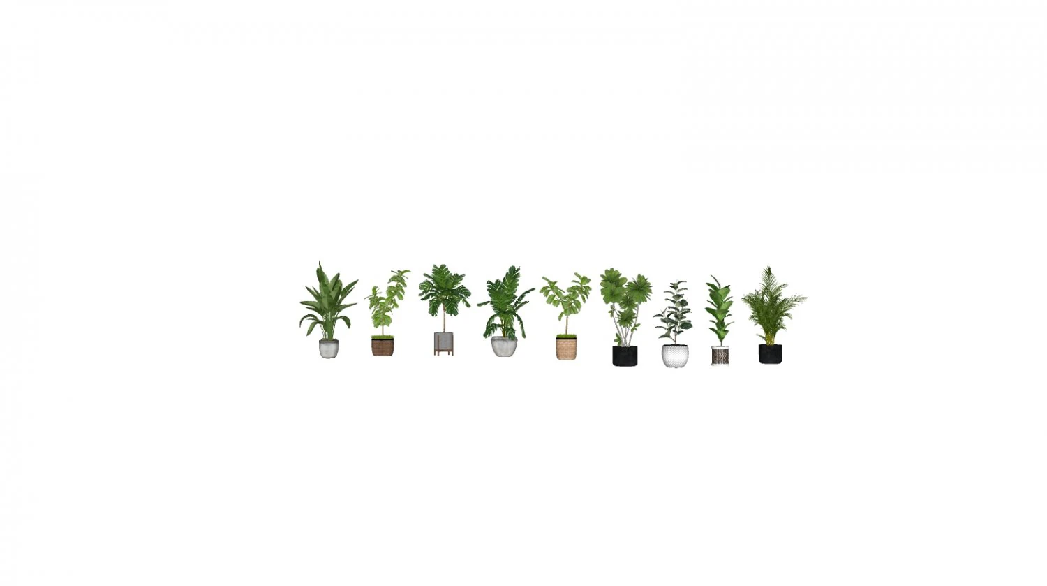 Tropical plants 1 3D Model .c4d .max .obj .3ds .fbx .stl .blend 