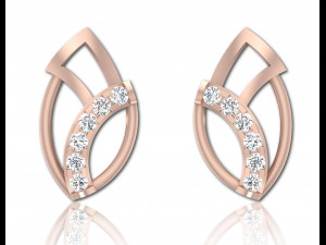 Stud Earring 3Dモデル