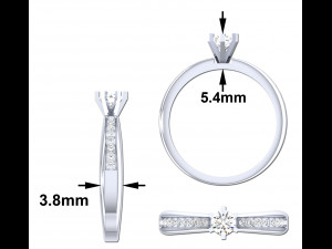 Engagement Ring 3Dモデル