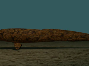 Burbot fish 3D Model