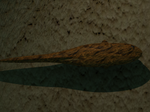 Burbot fish 3D Model