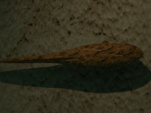 Burbot fish 3D Model