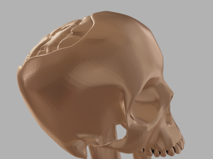 Biting Skull Ring Modello di stampa 3D