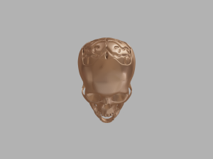 Biting Skull Ring Modello di stampa 3D