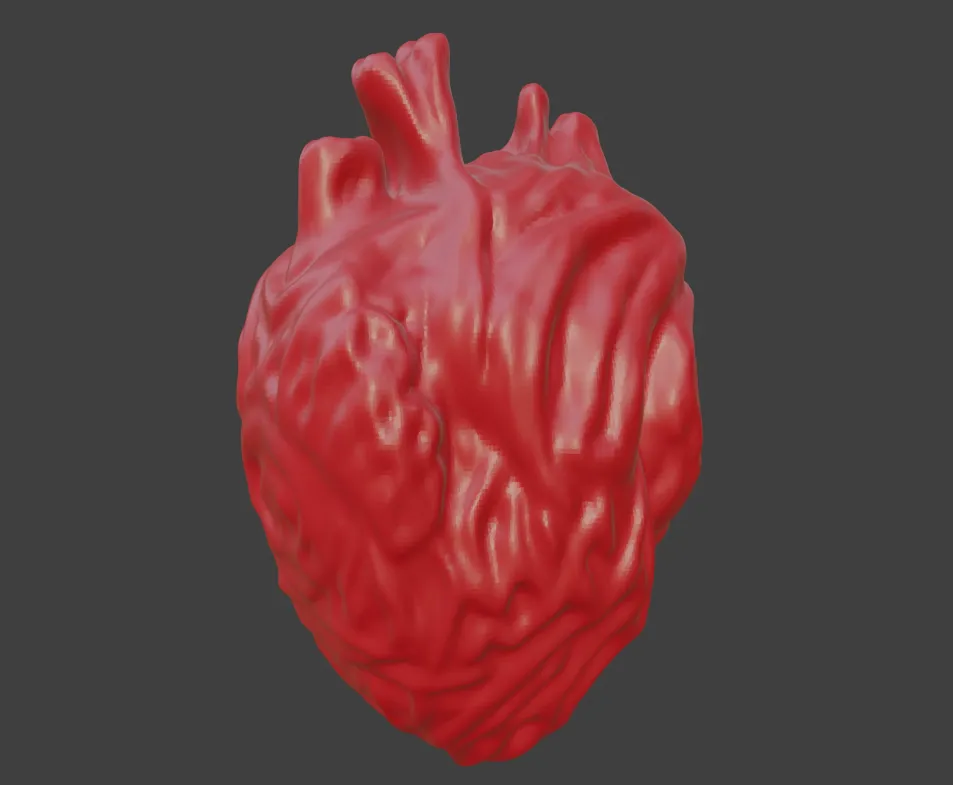 HUMAN HEART 3D Print Model .c4d .max .obj .3ds .fbx .stl .blend
