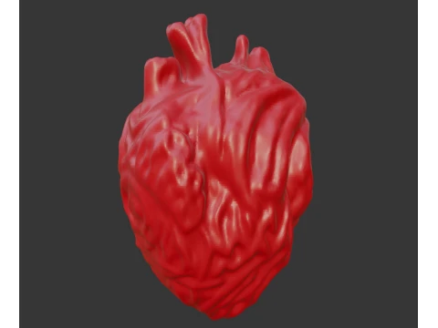 HUMAN HEART 3D Print Model