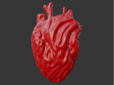HUMAN HEART 3D Print Model
