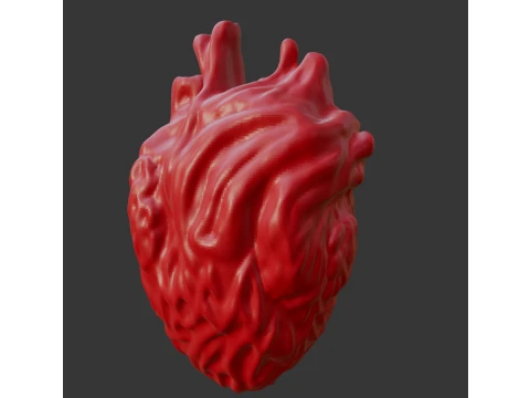 HUMAN HEART 3D Print Model