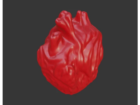 HUMAN HEART 3D Print Model