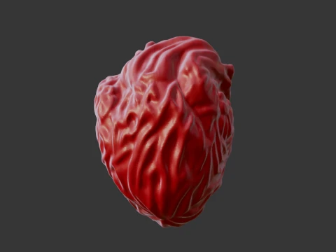 HUMAN HEART 3D Print Model