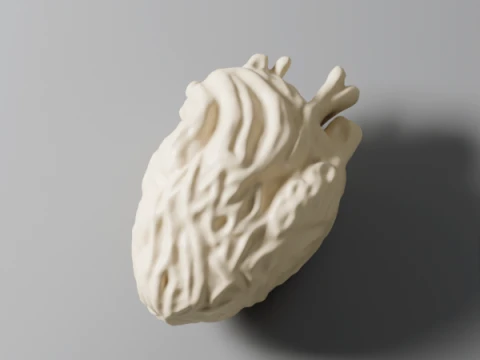 HUMAN HEART 3D printmodel