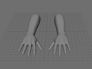 Hand 3D 모델