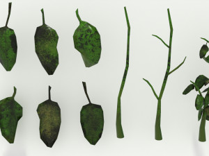 Forest pack 3D Model