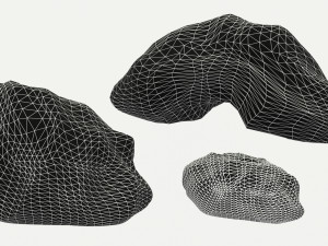 Forest pack 3D Model